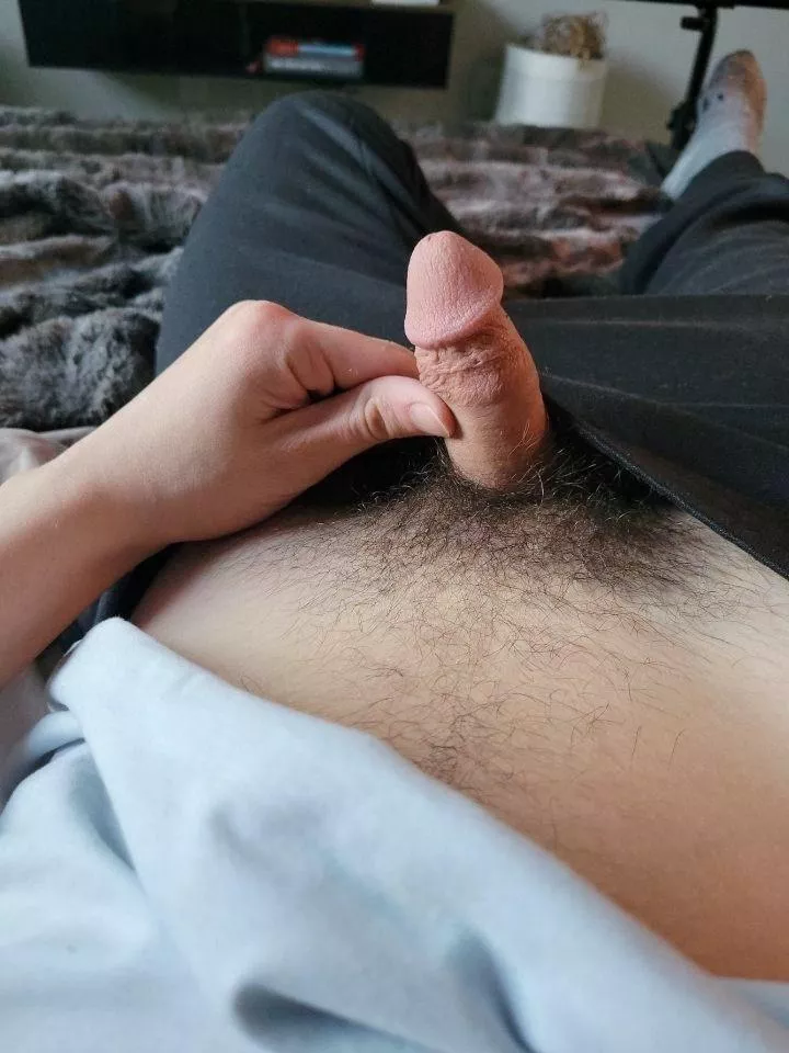 sometimes you gotta just whip it out