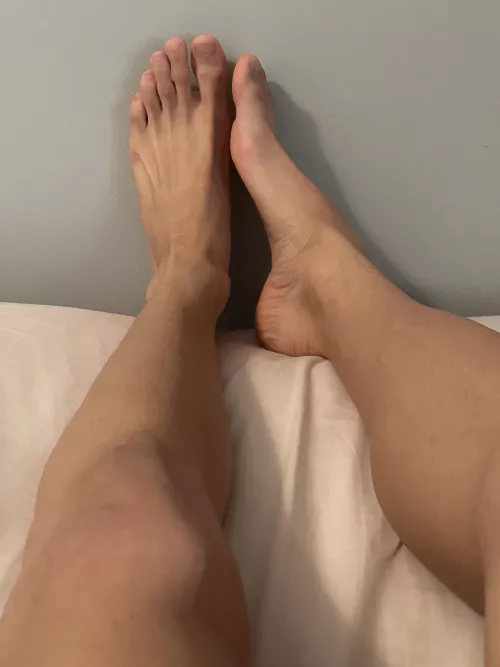 Suck all my toes