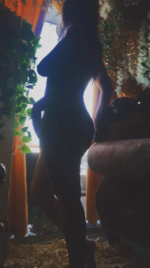 Sultry silhouette