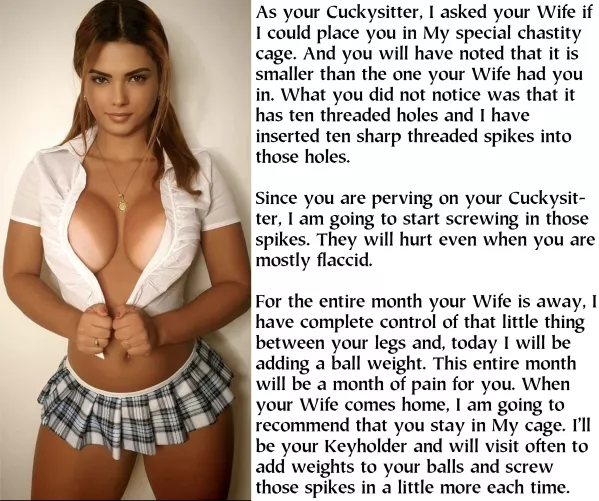 The special chastity cage was entirely your Cuckysitter's idea. She told your Wife that it would give her more control while She was gone for extended periods. Of course, this means you have a new sadistic Keyholder, now.
