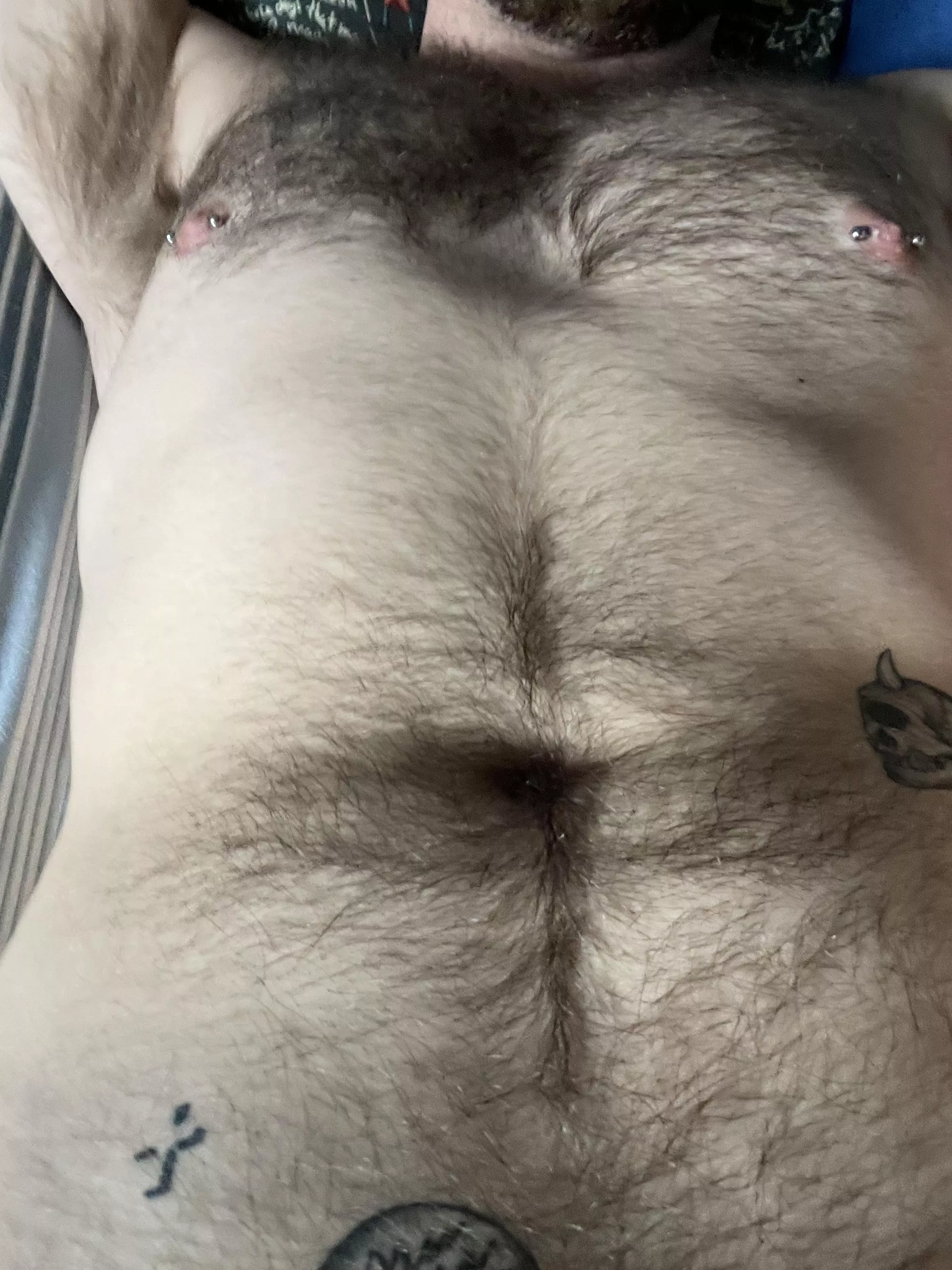 the winter fur is coming in nice