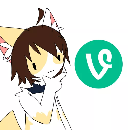 thoughts on bringing vine back?