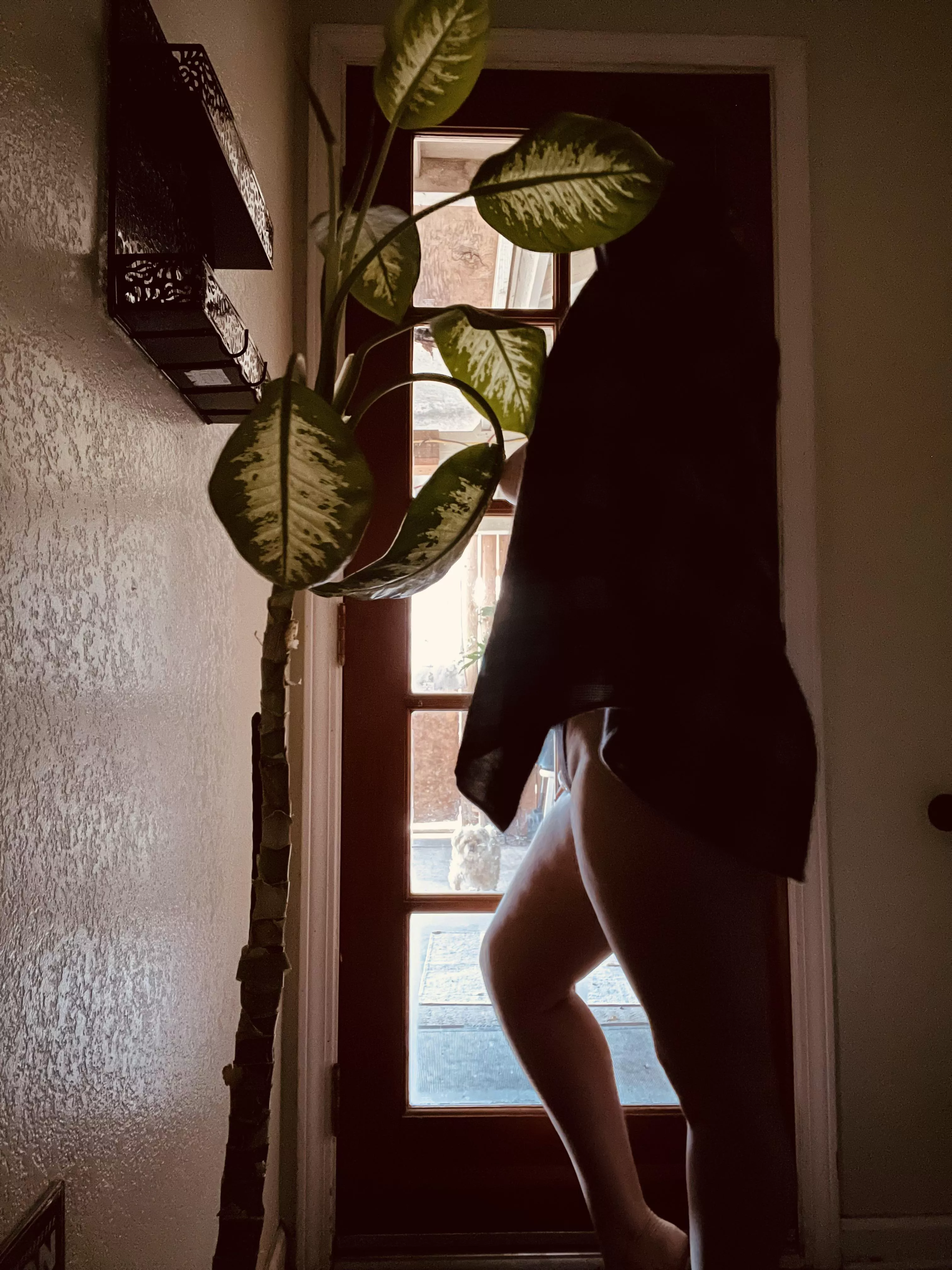 Waiting and watching for my pups. [F]