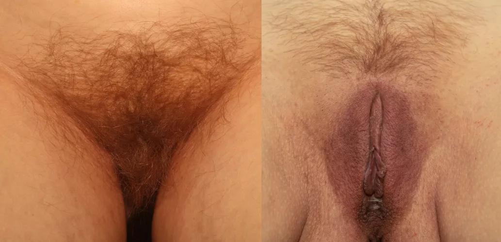 Which do you prefer, full bush or neatly trimmed?