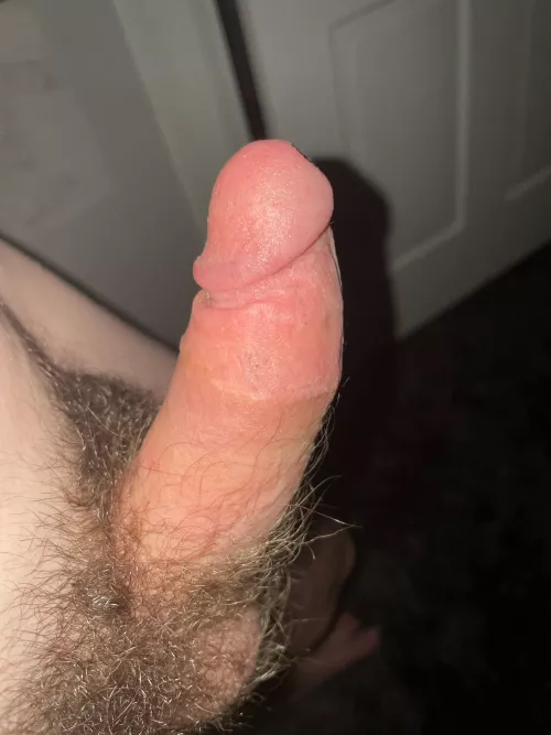 A nice cut cock