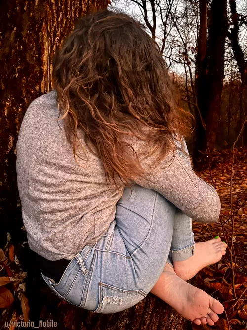 As resolution for the New Year you should come in the woods to smell my feet 👣 The scent of fresh leaves will pervade your senses 🍁