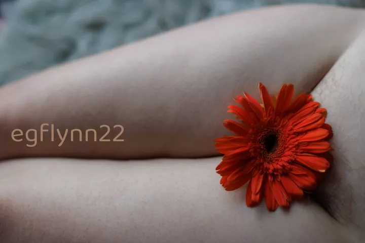 Bringing you joy and sunshine for the new year ❤️