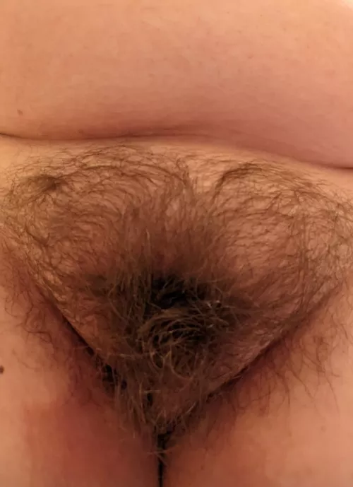 bushy pussy 🤭
