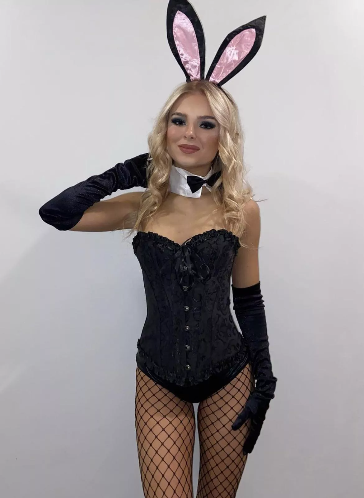 Cute bunny