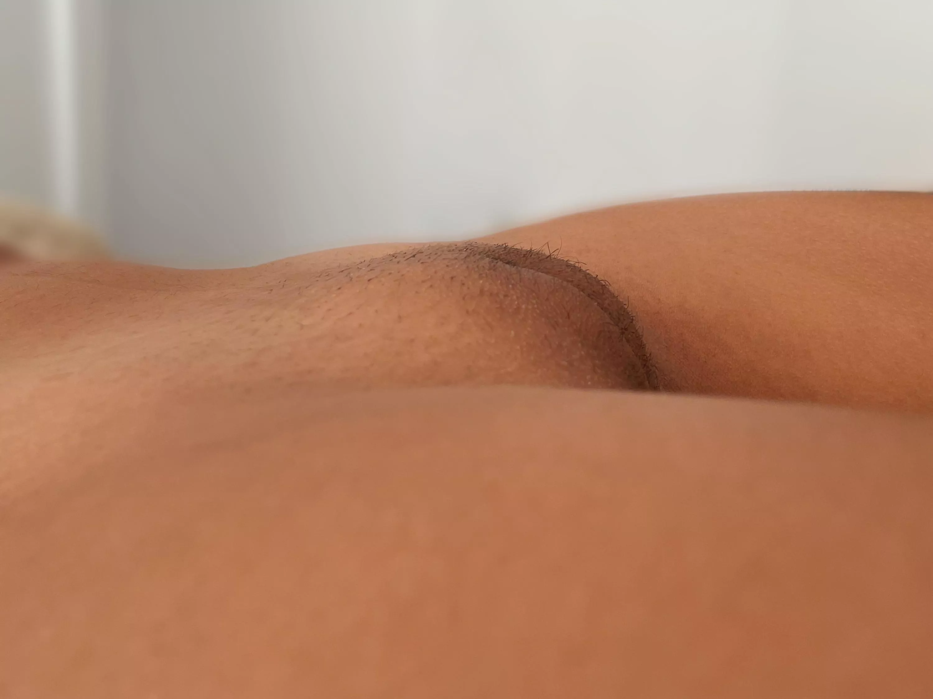 Delicate hairy pussy
