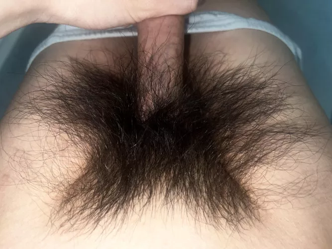 Here’s to another year of no trimming and a bigger, hairier bush!