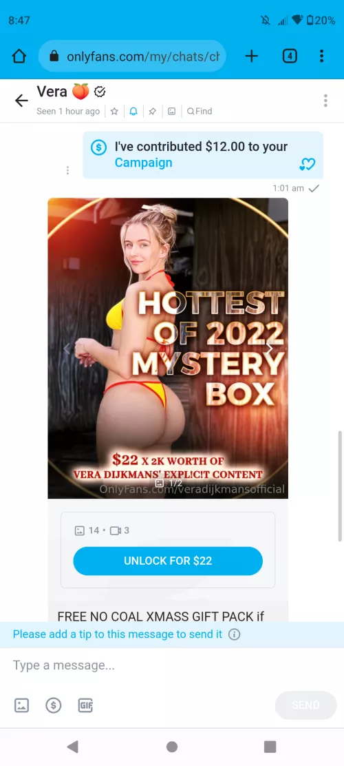 I bought the Xmass pack but Idk how to access it