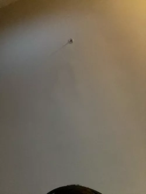 M23 looking for BBC near DMV…