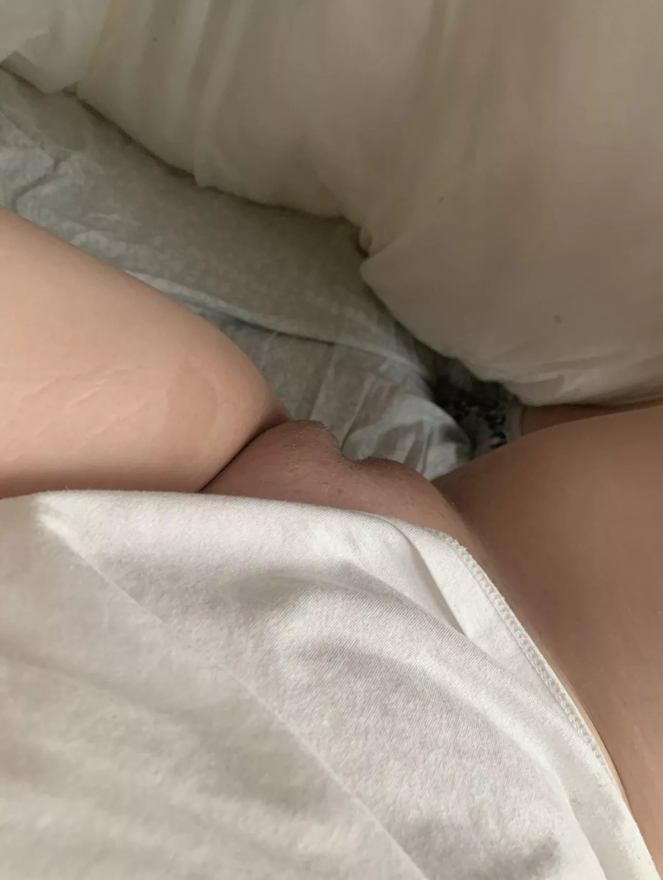 Need someone to come give this a lick to start the new year