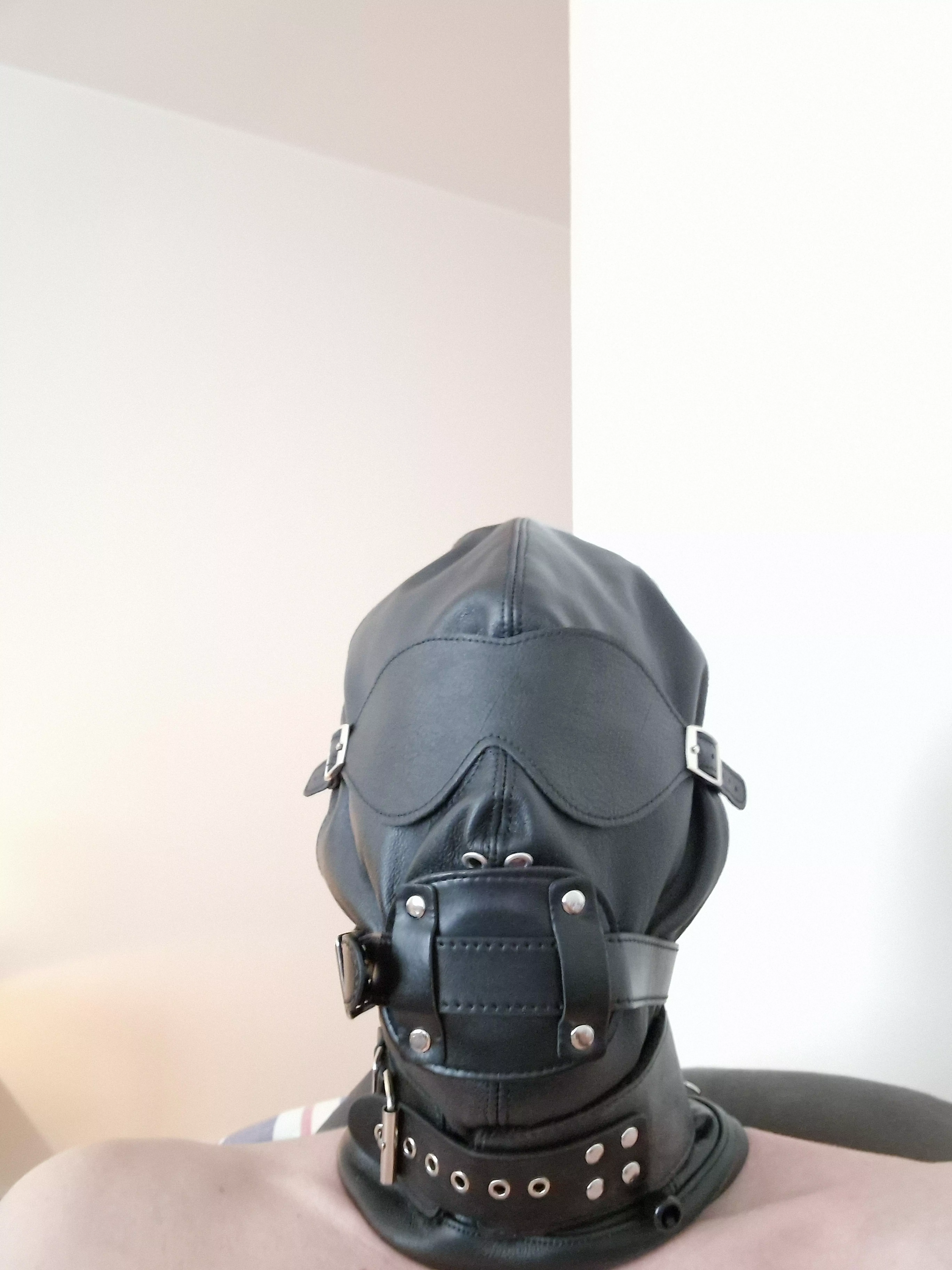 New year starts being hooded, collared and penis gagged