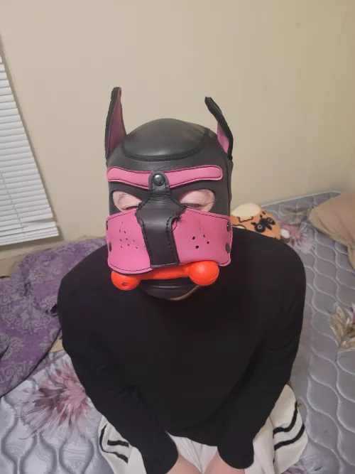 puppy got a new year's bone!!