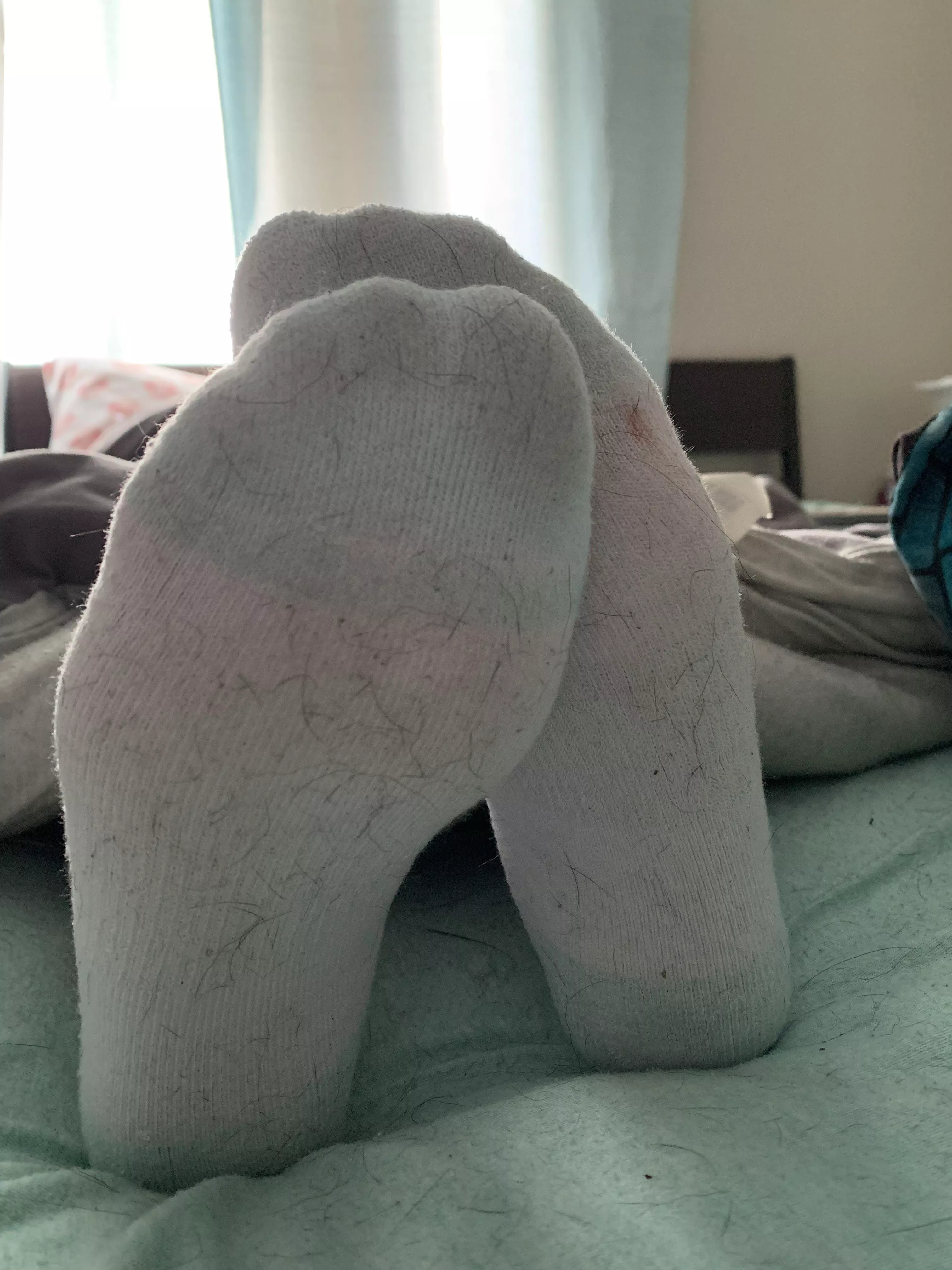 See how dirty they got last night? Fix that please 🥺