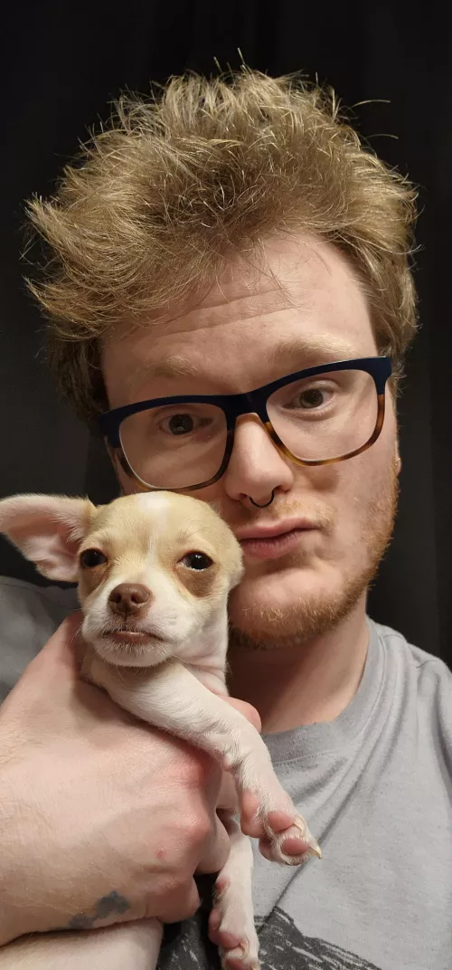 Should I get arceus, Sword/Shield, or Violet/Scarlet???