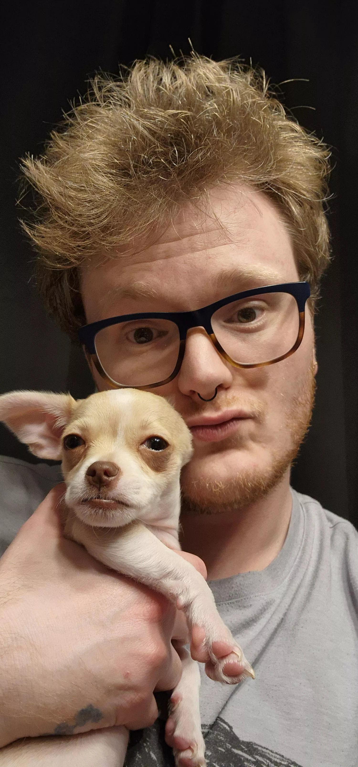 Should I get arceus, Sword/Shield, or Violet/Scarlet???