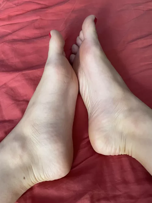 Some come and give me company 🥺😉