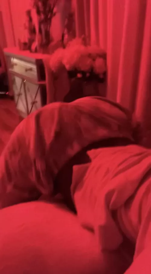 18 bttm @alexx_san22