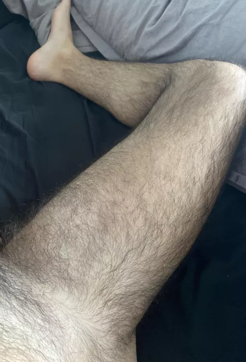 30 Canada. Hairy and Horny. Show face. No Live.