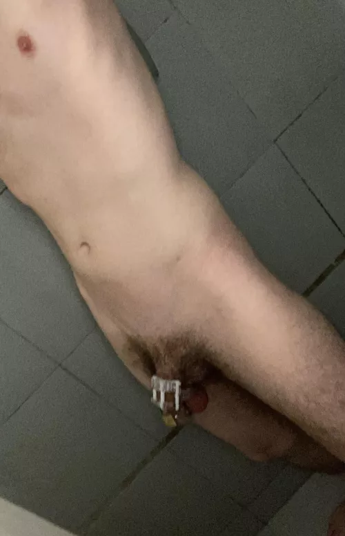 A picture with my old cage