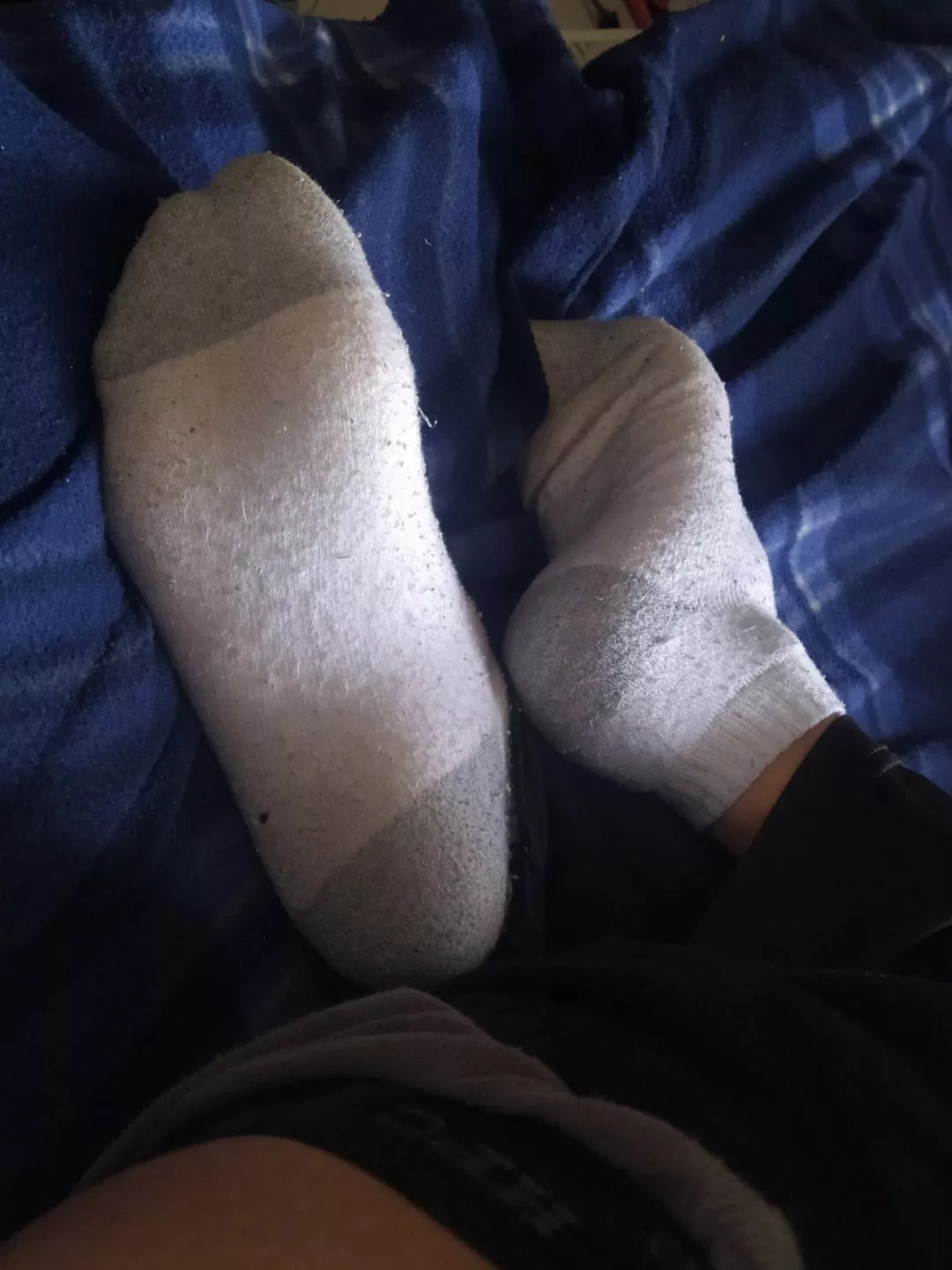 Anyone wanna smell my socks?
