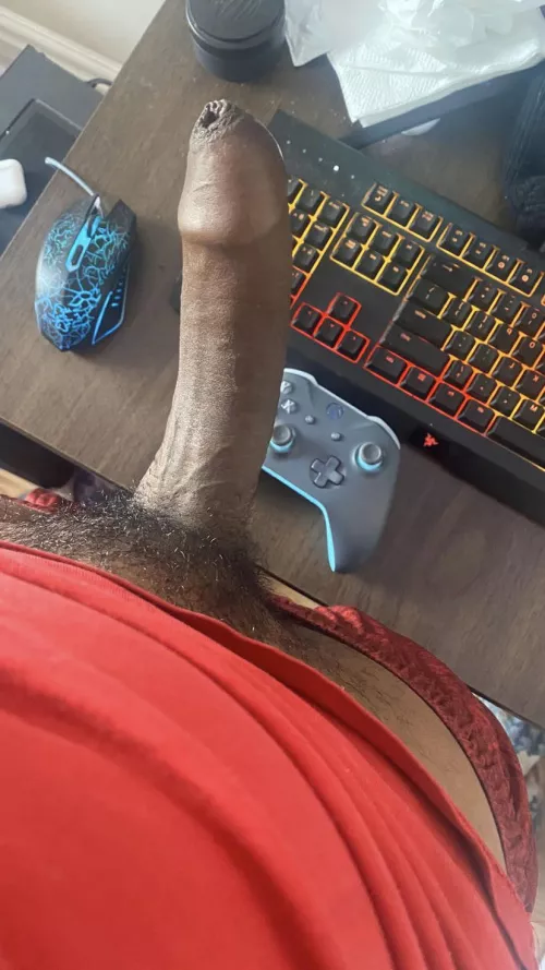 Can anyone guess the size of it?