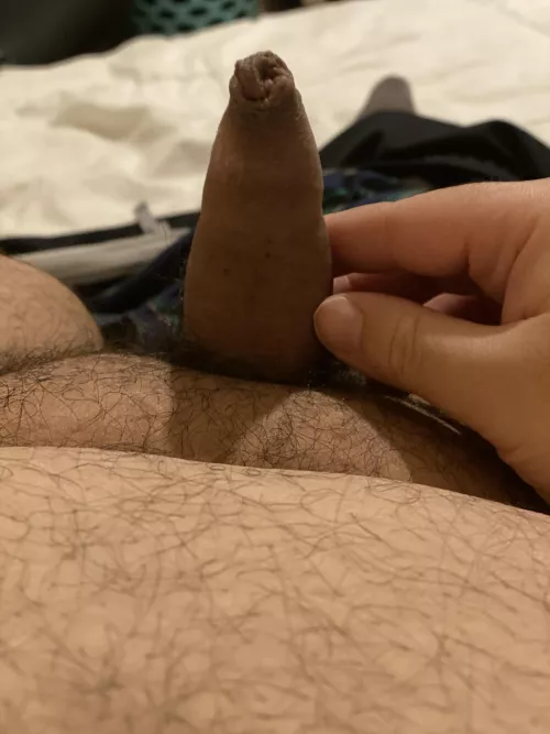 Chub with a small uncut dick