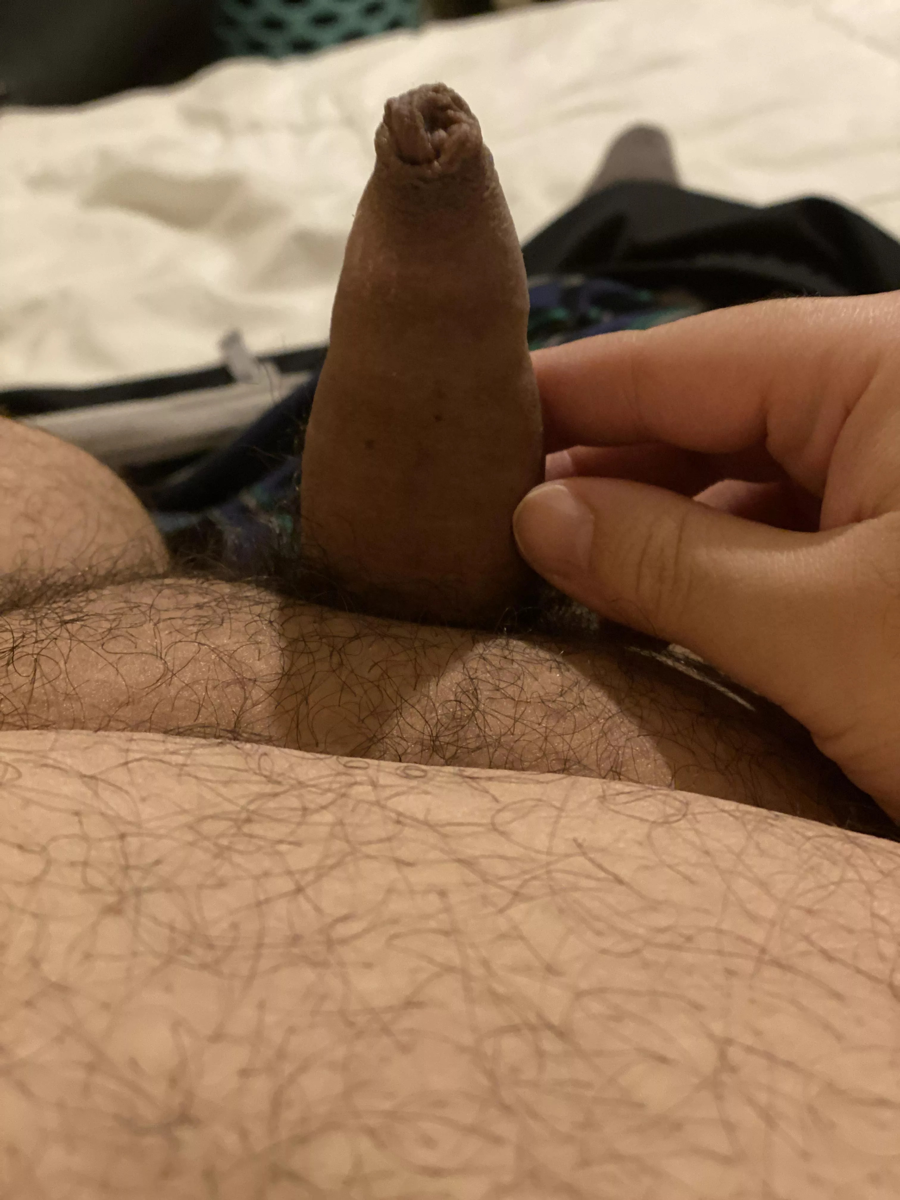 Chub with a small uncut dick