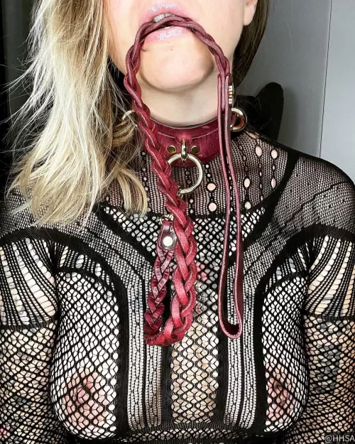 Collared and leashed. Will you walk me now???