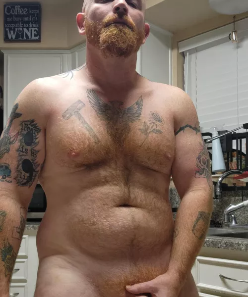 Cum see what this Alpha has for you.