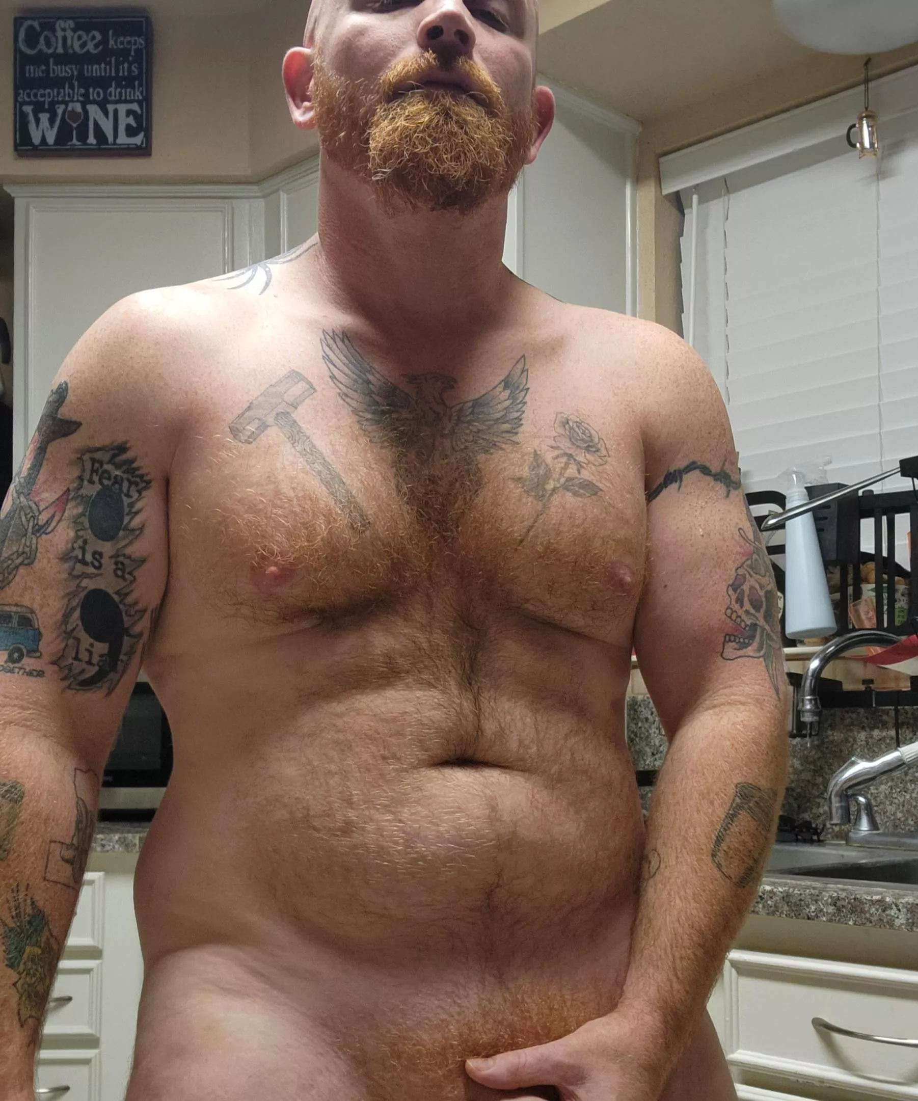 Cum see what this Alpha has for you.