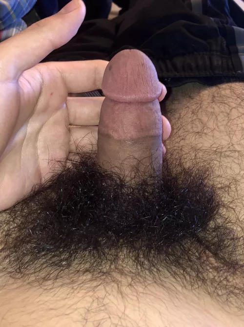 Do you like my bush or should I shave?