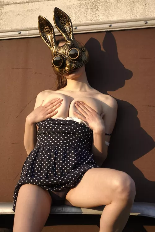 (f) Do you like bunnies ?