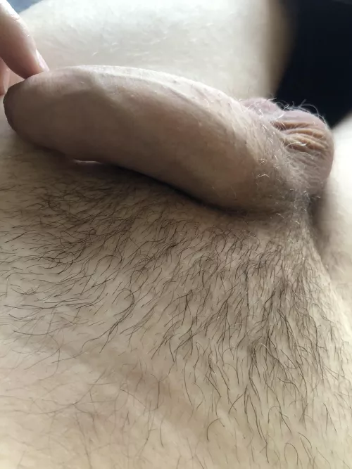 Girthy cock chilling soft