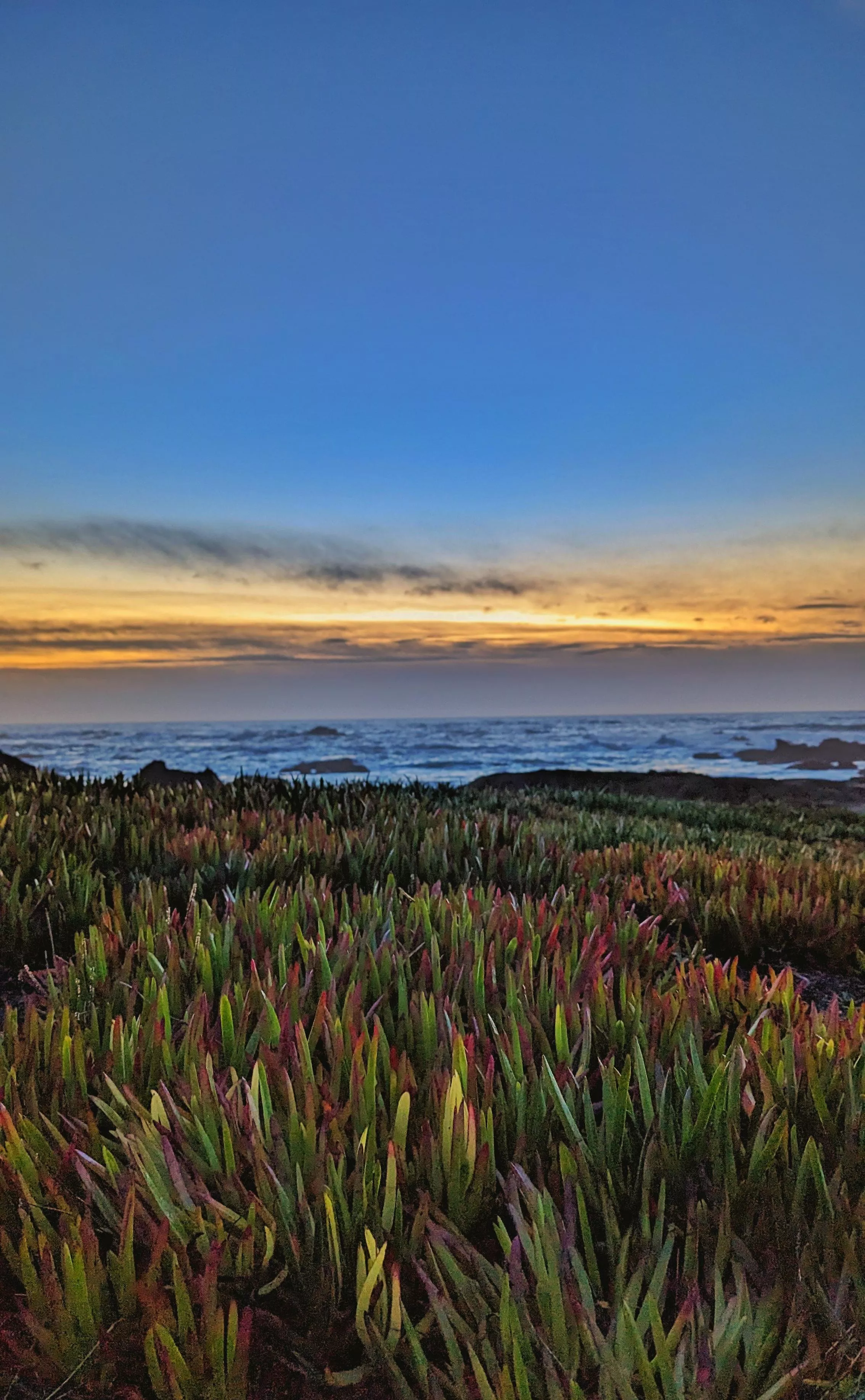 Glass Beach on New Years day, sunset.