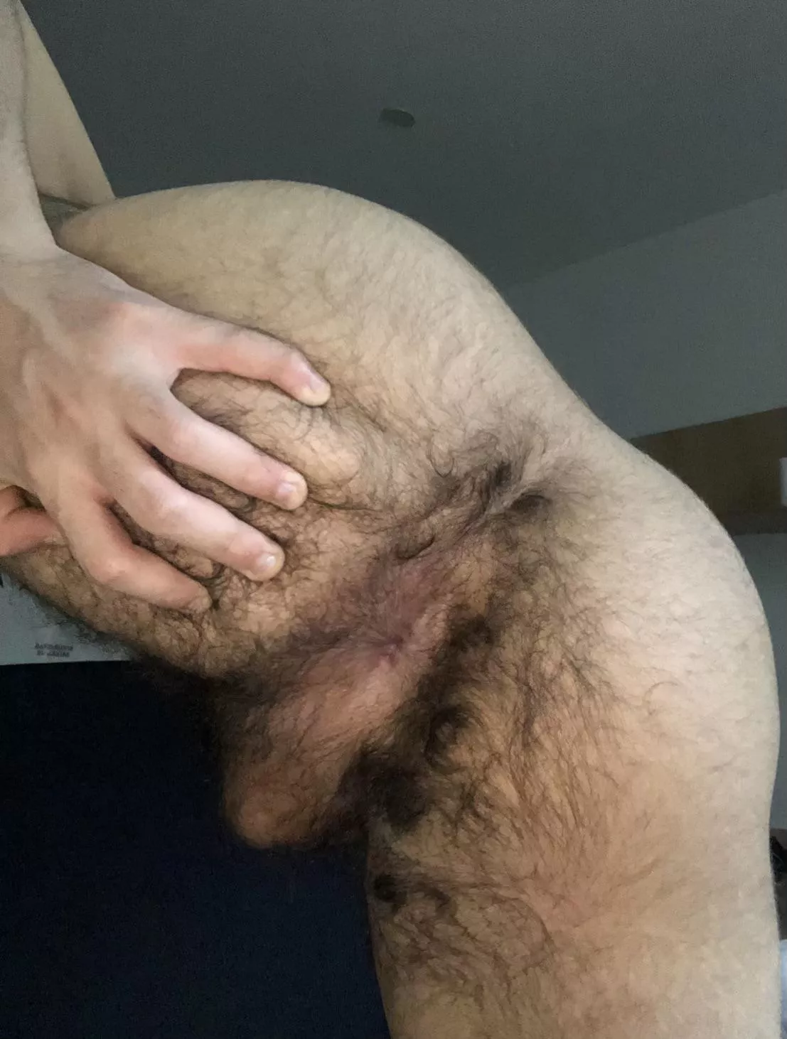 Hoping it will get hairier for the new year