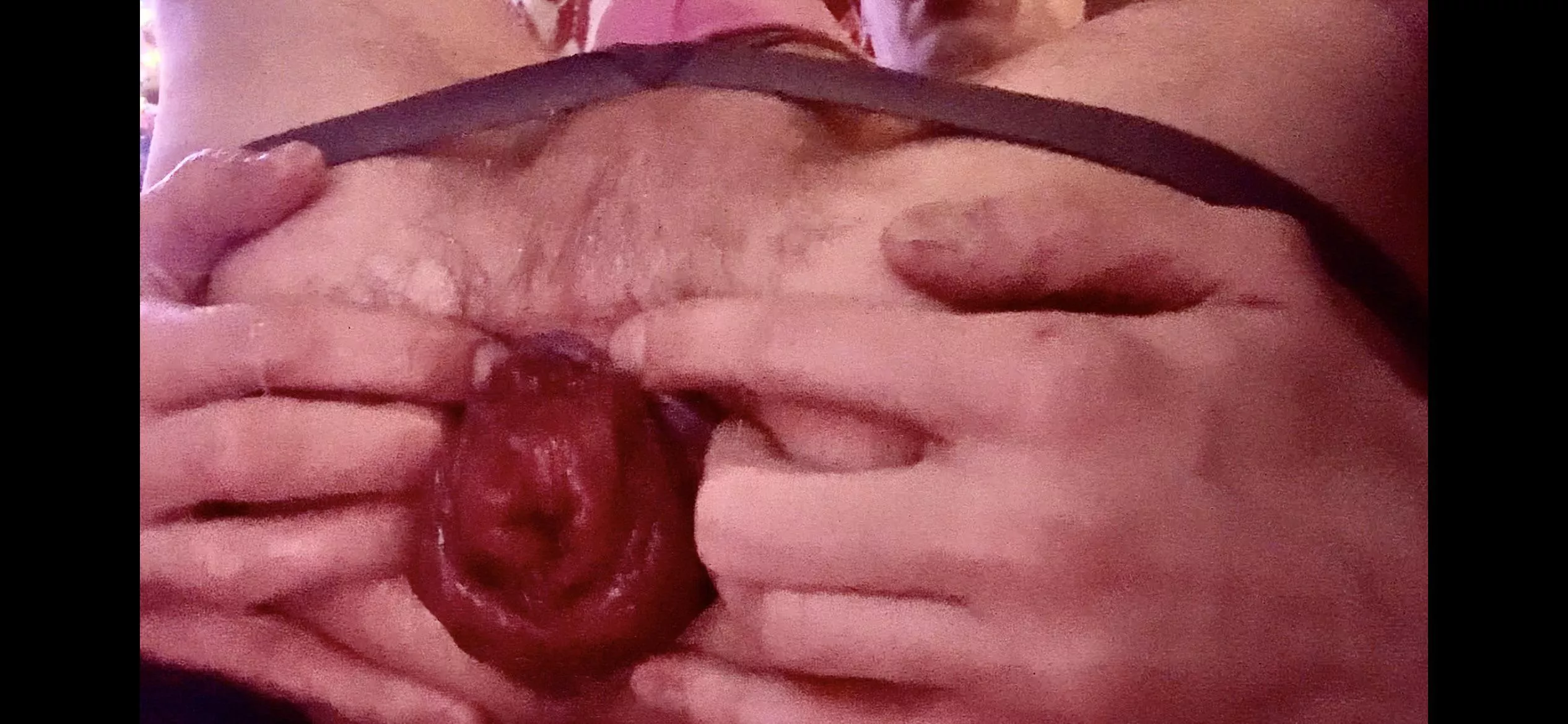 Hoping my rosebud will continue to bloom this new year