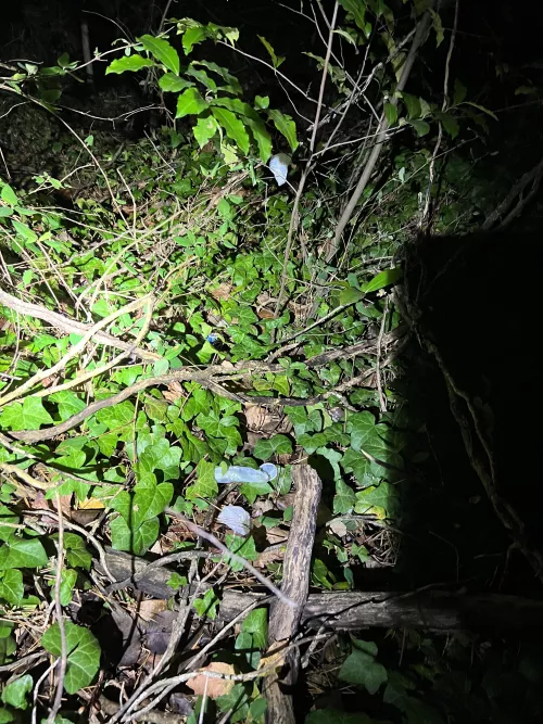 I love finding used condoms on the cruising grounds…