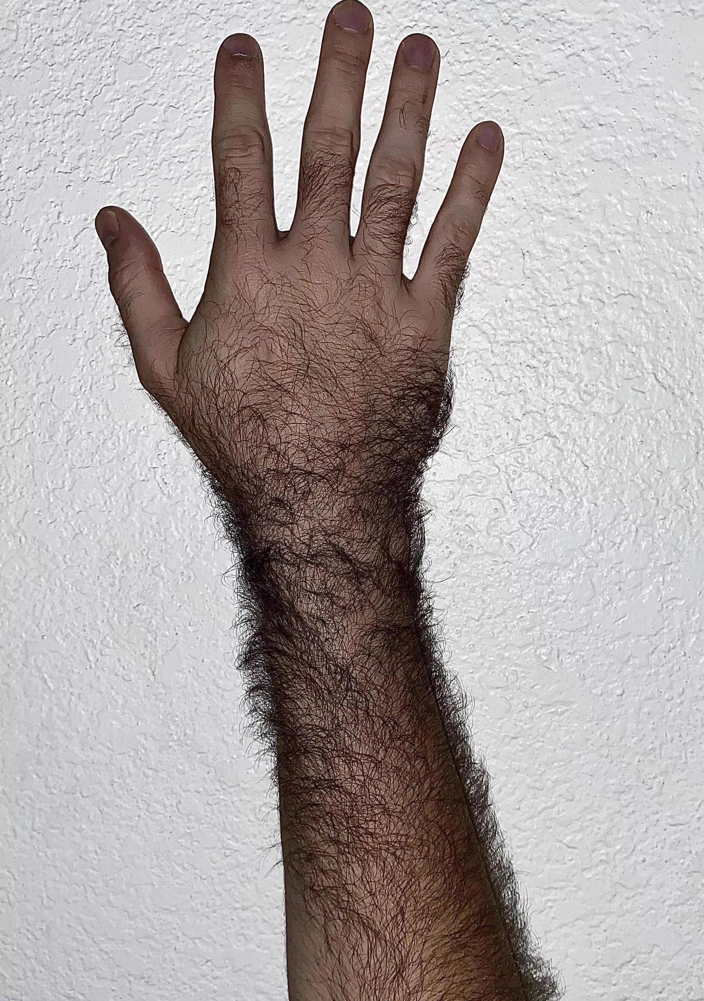 Insanely hairy?