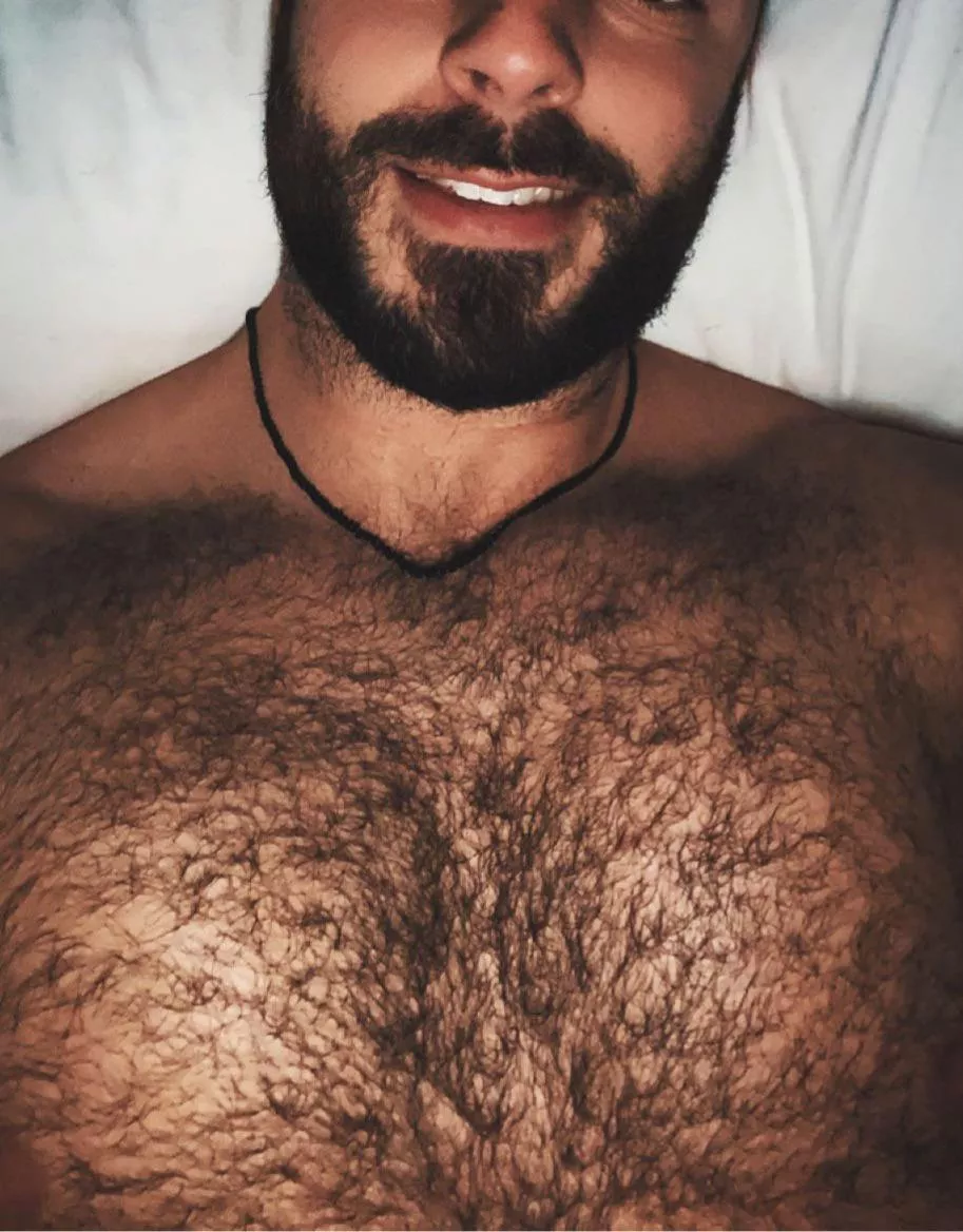 It’s going to be a great hairy year