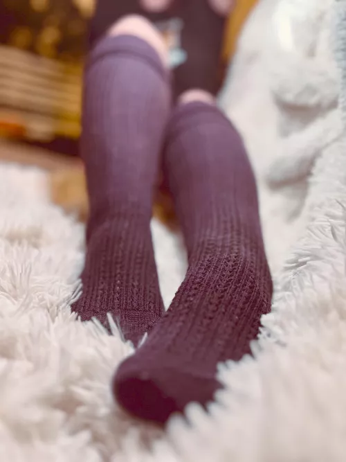 Let me snuggle your face 💟