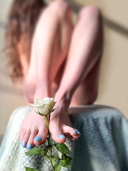 May your new year be blessed with beauty and happiness