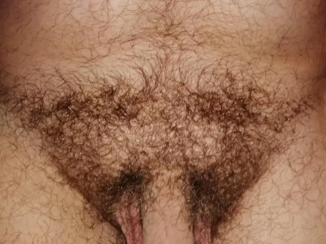 pubes and uncut softie (25), dm to see more