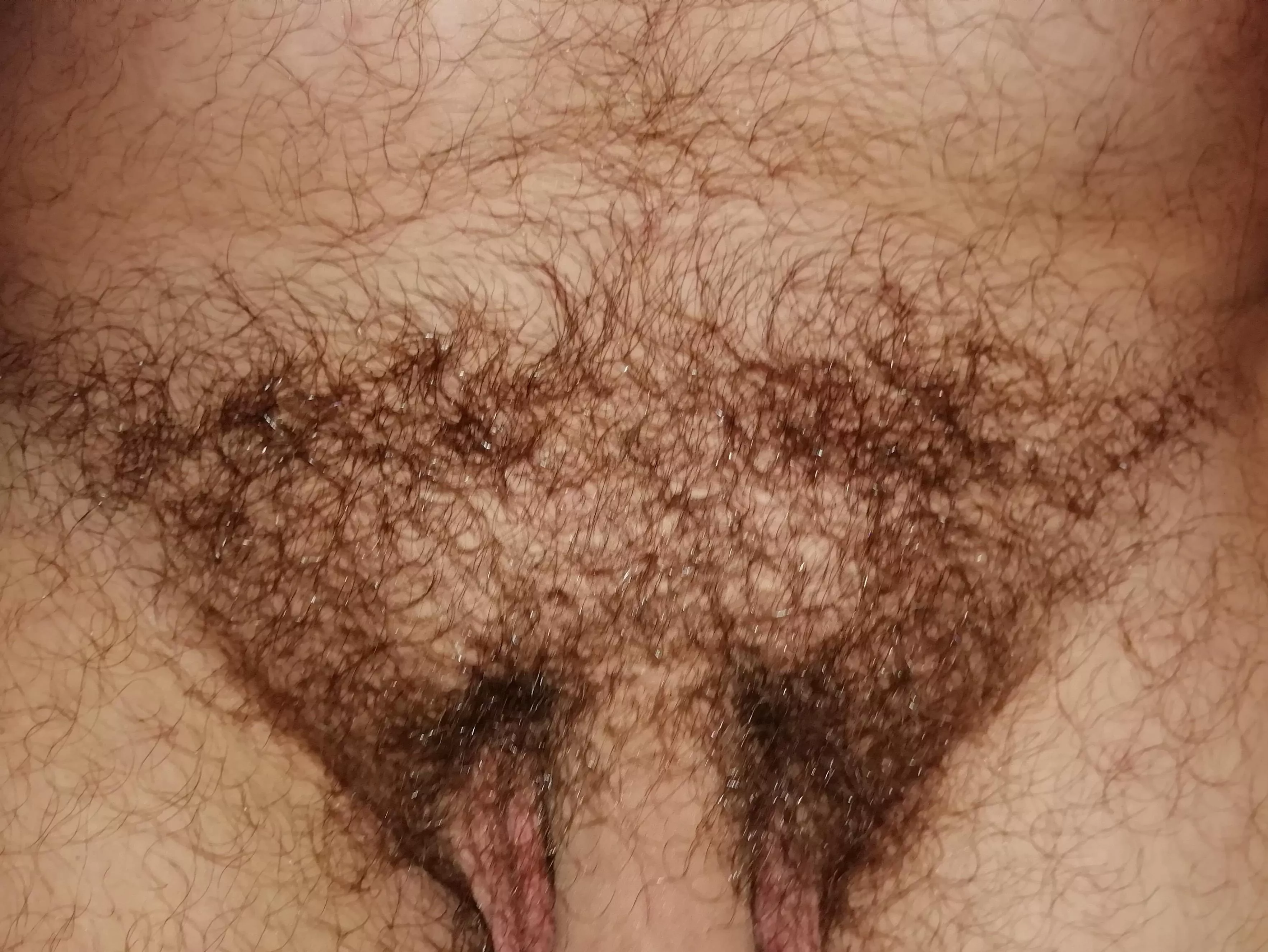 pubes and uncut softie (25), dm to see more