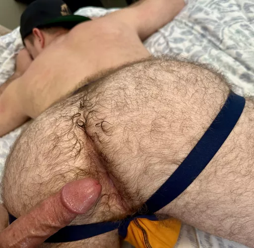 The hairy ones are my favorite to breed