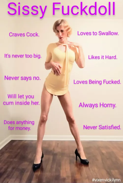 The Perfect Sissy