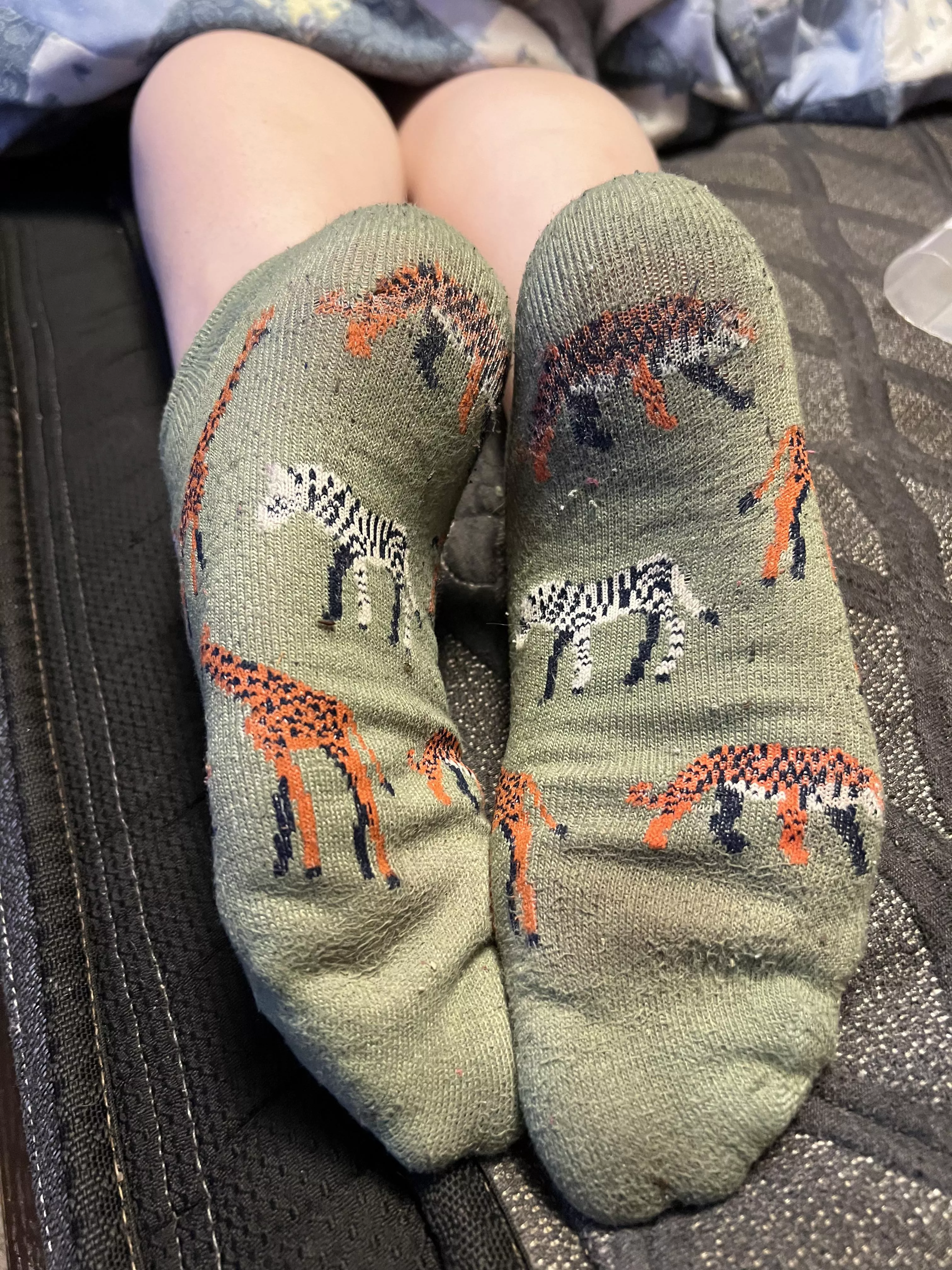 These are smelling better and better every day.